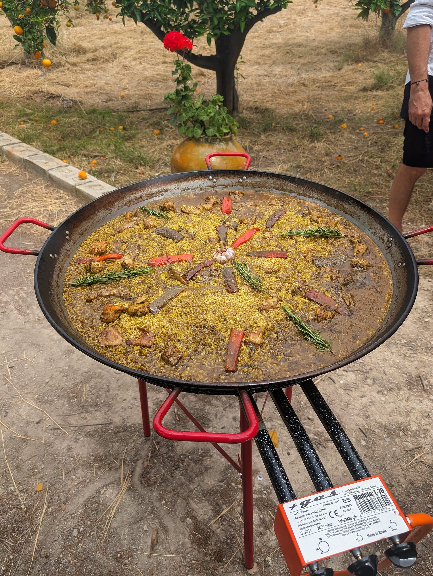 Paella sobre su pie entre naranjos · 40.º cumpleaños · Arroces y paellas en directo